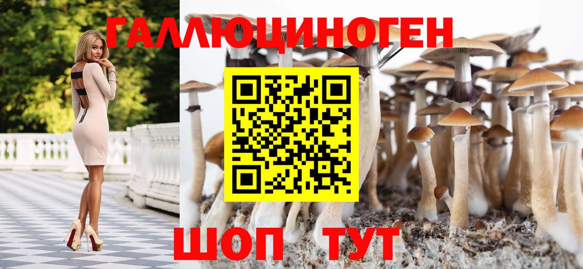 Галлюциногенные грибы Magic Shrooms  Галлюциногенные грибы Psilocybine cubensis  Вход с VPN  Евпатория 